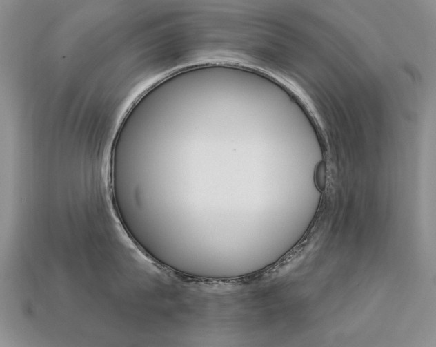 X0000113230815200909100942