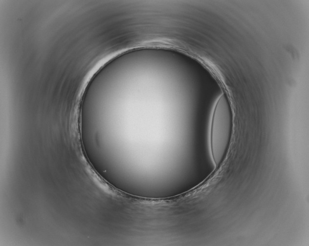 X0000113230816200909100942