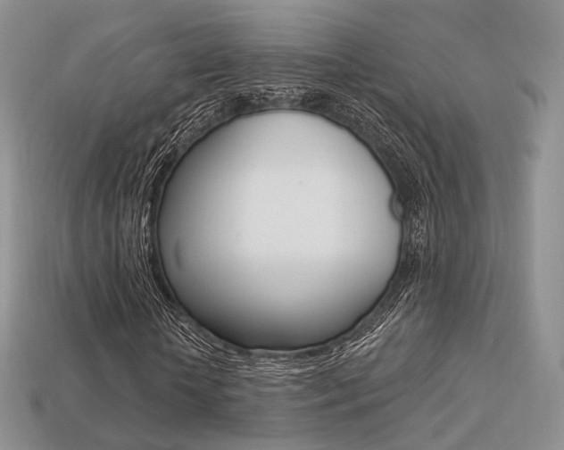 X0000113230818200909100941