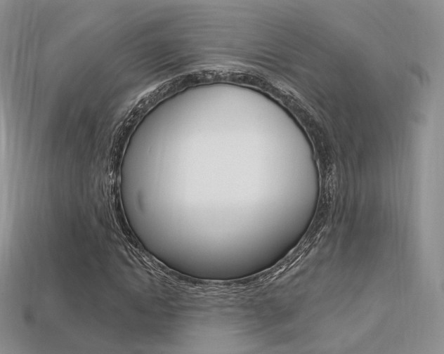 X0000113230822200909100941
