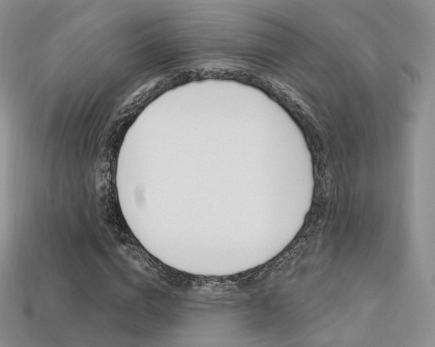 X0000113230824200909100941