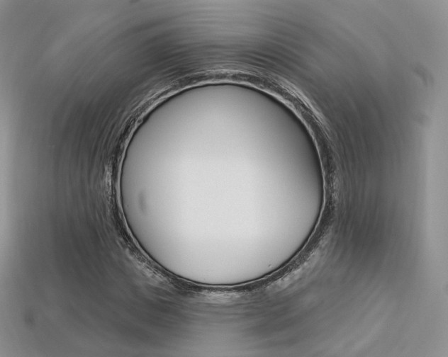 X0000113230825200909100941
