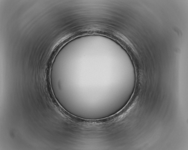 X0000113230826200909100941