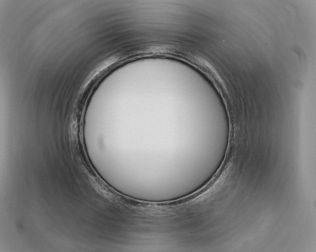 X0000113230827200909100941