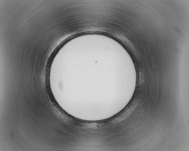 X0000113230828200909100941