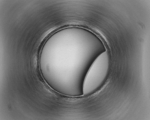 X0000113230829200909100941