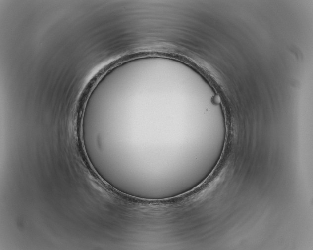 X0000113230830200909100941