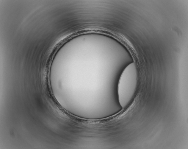 X0000113230831200909100941