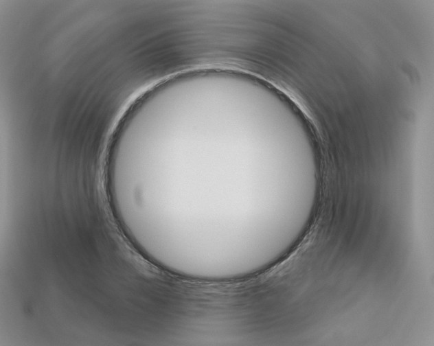 X0000113230832200909100941