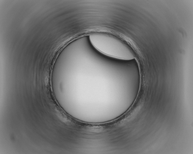 X0000113230833200909100941