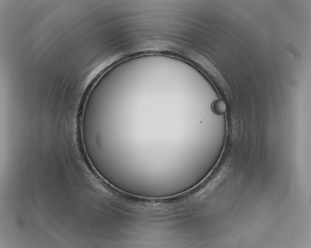 X0000113230834200909100941