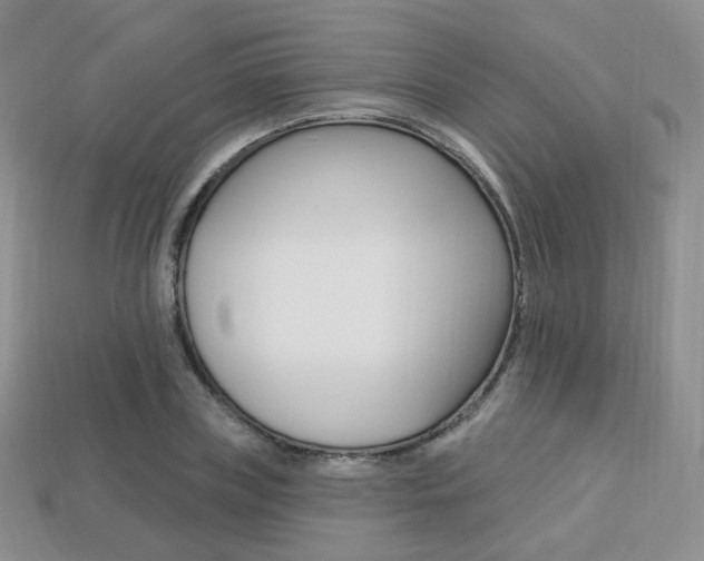X0000113230835200909100941