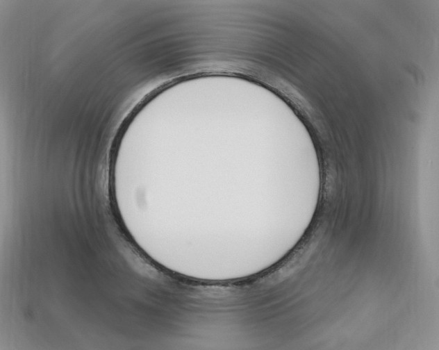 X0000113230836200909100941