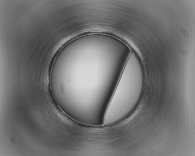 X0000113230837200909100941
