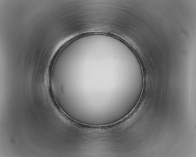 X0000113230838200909100941