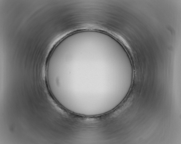 X0000113230839200909100941