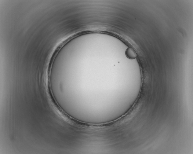 X0000113230840200909100941