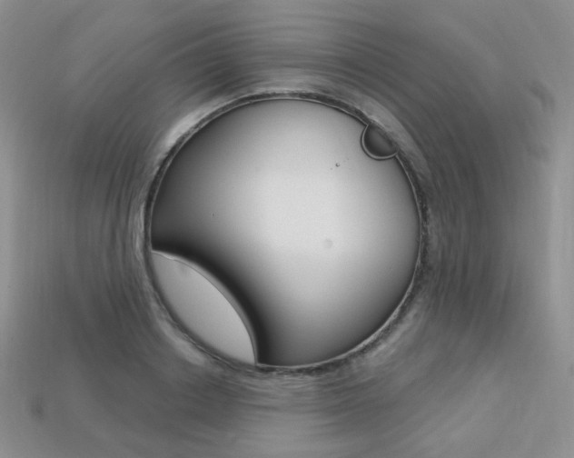 X0000113230842200909100941