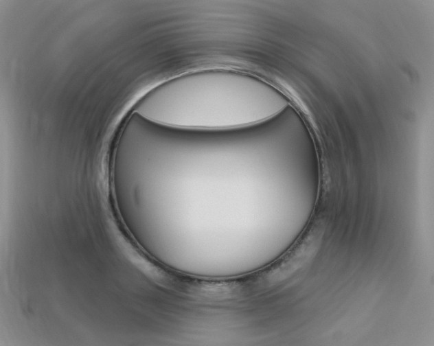 X0000113230843200909100942