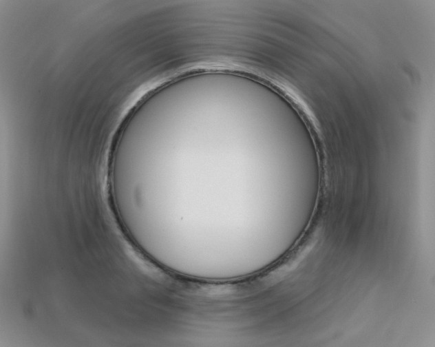 X0000113230845200909100942