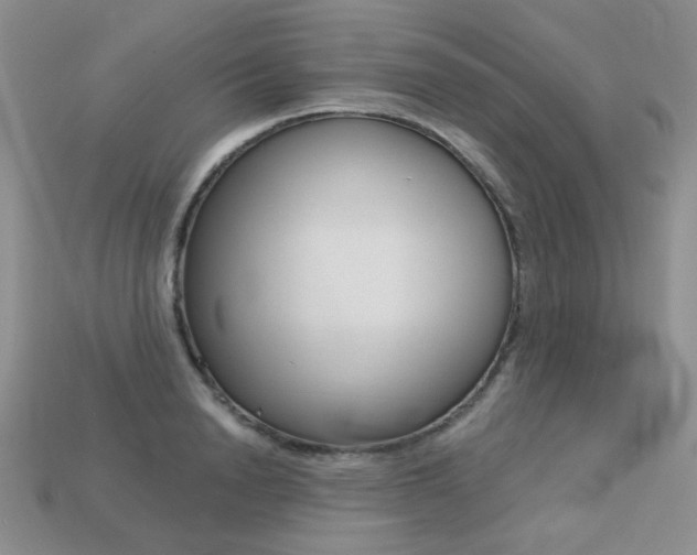 X0000113230846200909100942