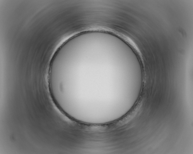X0000113230847200909100942