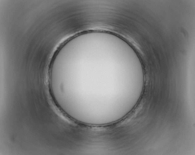 X0000113230848200909100942