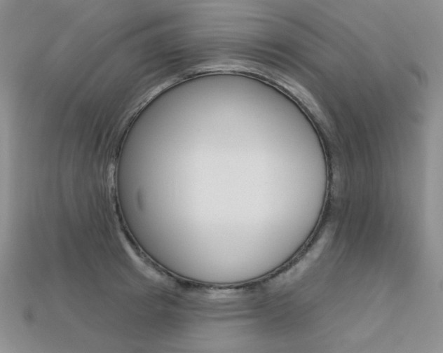 X0000113230849200909100942
