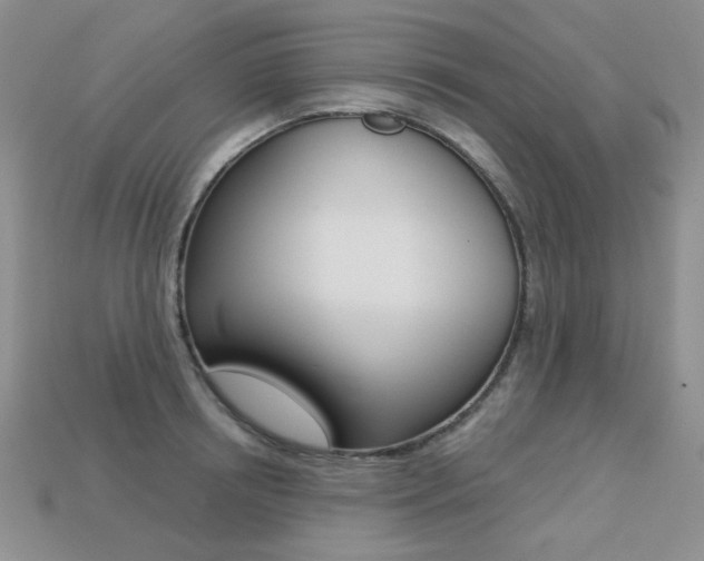 X0000113230850200909100942