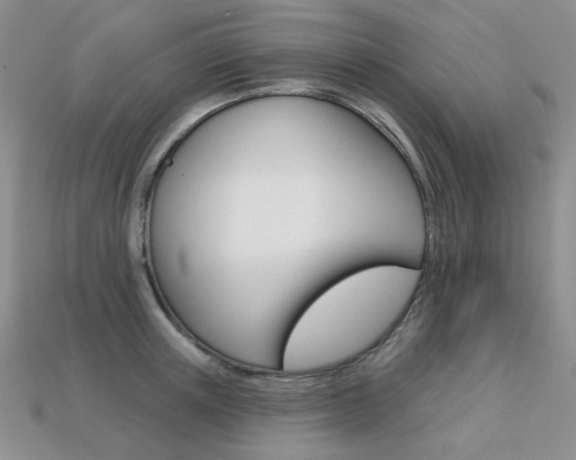 X0000113230851200909100942
