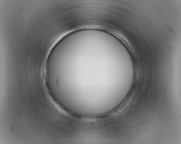 X0000113230852200909100942