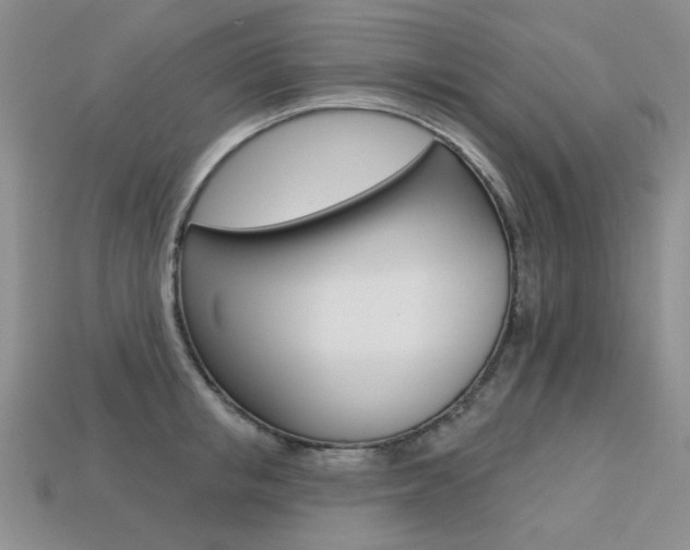 X0000113230853200909100942