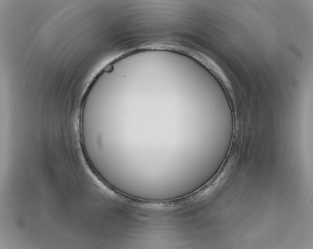 X0000113230855200909100942
