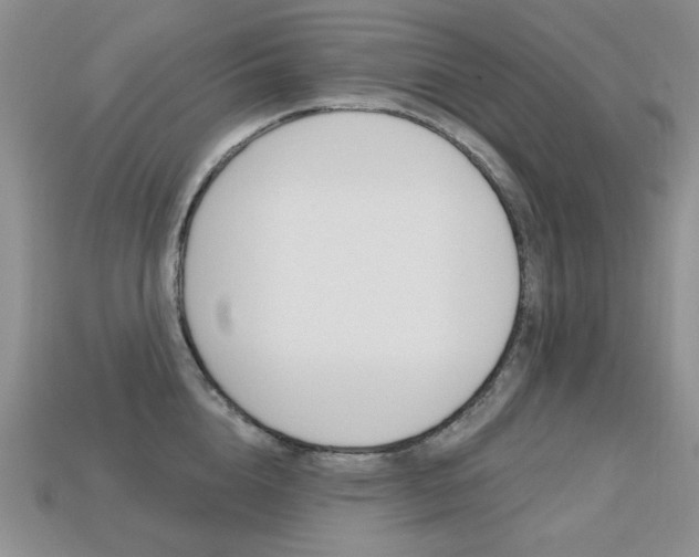 X0000113230856200909100942