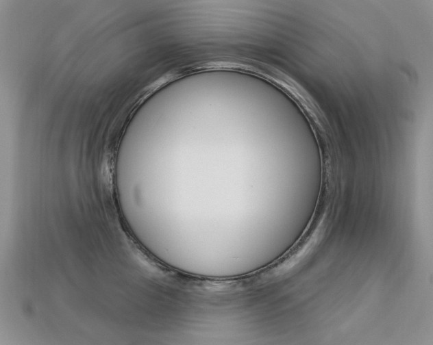 X0000113230857200909100942