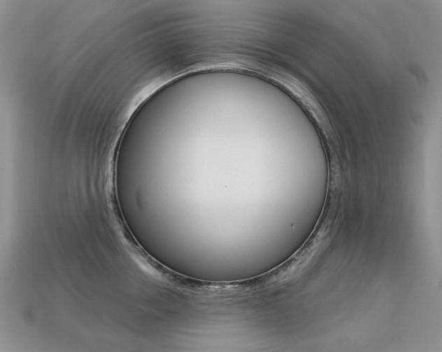 X0000113230858200909100942
