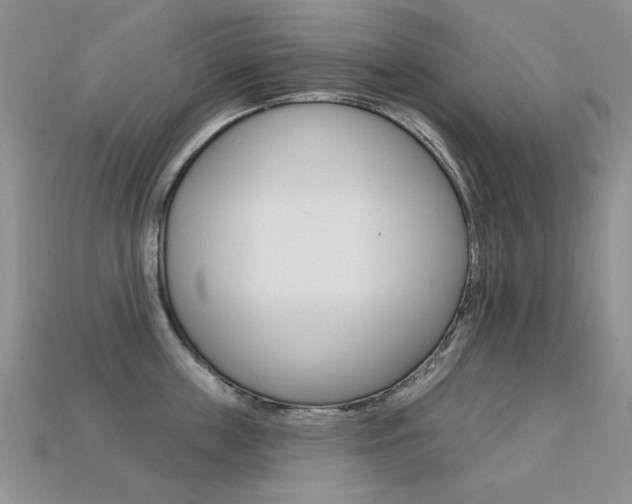 X0000113230859200909100942