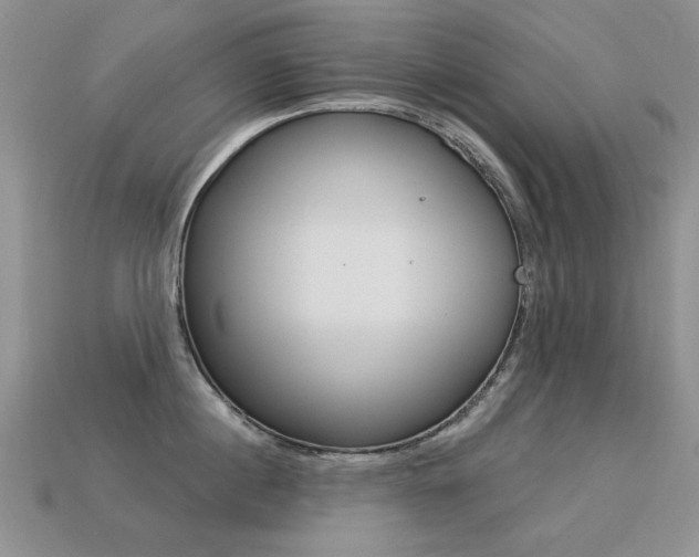 X0000113230860200909100942