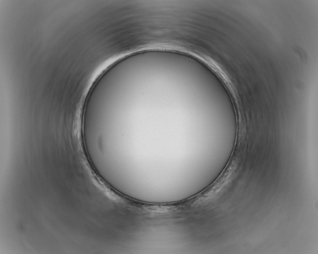 X0000113230862200909100942