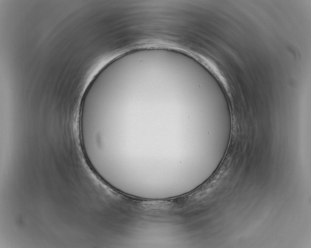X0000113230863200909100942