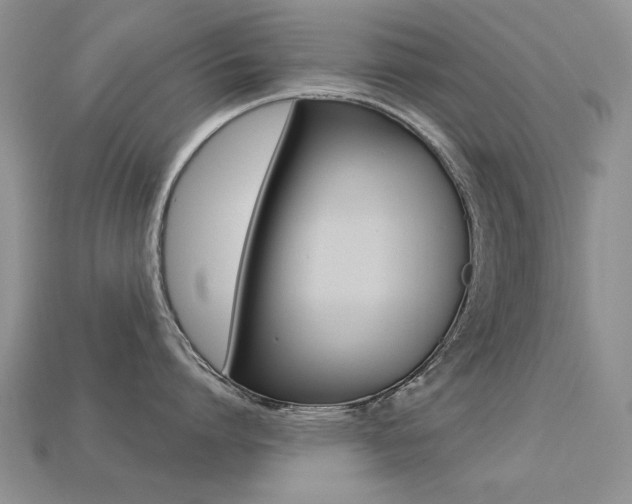 X0000113230864200909100942
