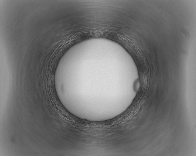 X0000113230865200909100941