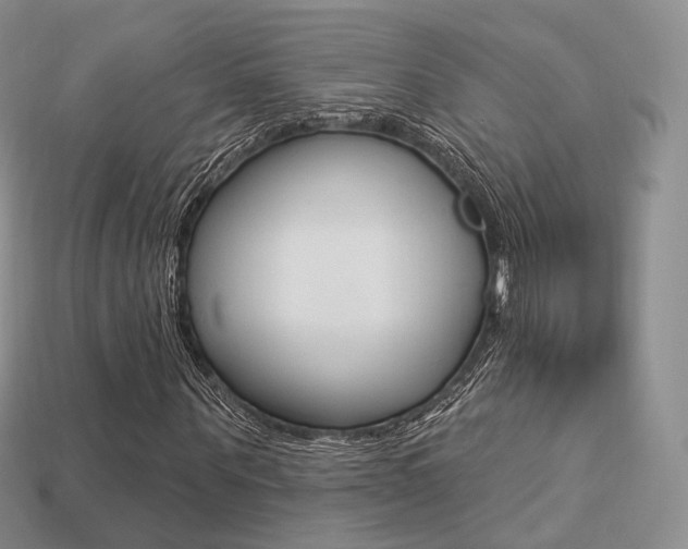 X0000113230867200909100941