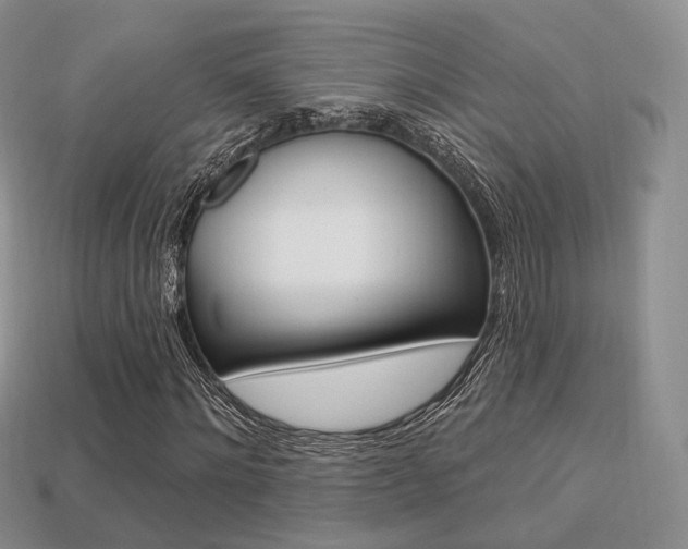 X0000113230868200909100941