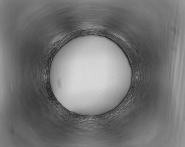 X0000113230869200909100941
