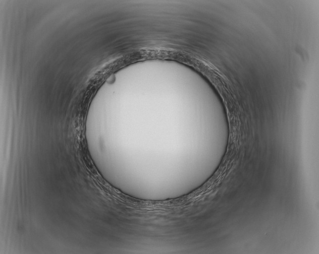X0000113230870200909100941