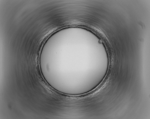 X0000113230873200909100941