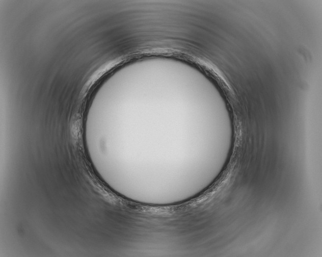 X0000113230874200909100941