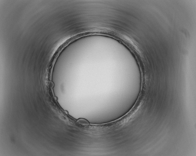 X0000113230875200909100941