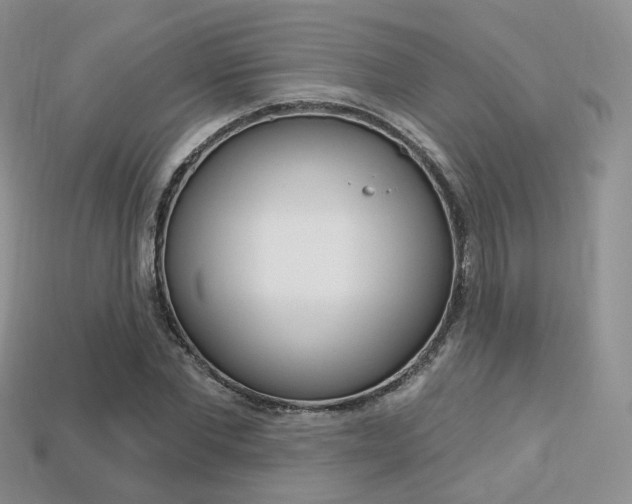 X0000113230877200909100941